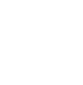 benelli logo mark